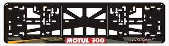 MOTUL 300