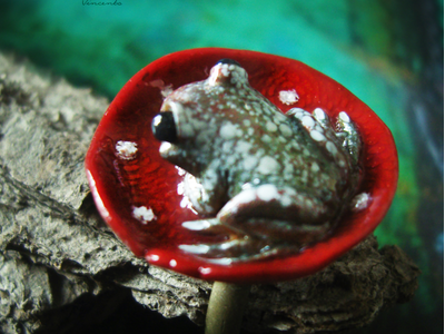 Сказочное кольцо с лягушкой и мухомором "Жду принца!"