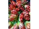 Тюльпаны пионовидные 35 шт