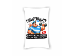 Подушка вертикальная #29 на 23 февраля