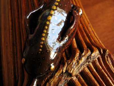 Подвеска "Terra-Рыба" - необычное украшение из серии Древних Гигантов