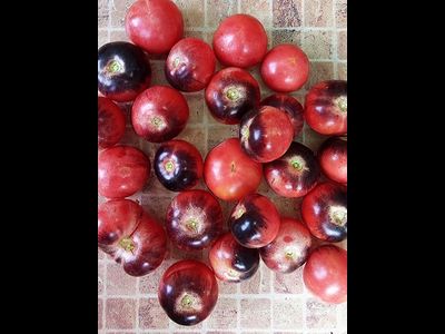 Томат Черная клубника, (Black Strawberry ) США