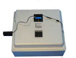 Каталог многорежимных smart инкубаторов "Умная наседка"