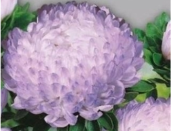 ПИОНОВИДНАЯ СЕРЕБРЯННАЯ БАШНЯ 4ШТ