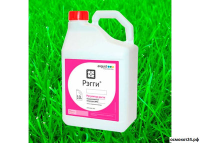 Рэгги, ВРК, 10мл / 10л