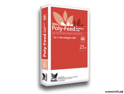 Полифид (Израиль)