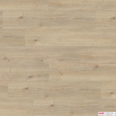 Ламинат Haro Tritty 100 Campus Дуб Контура Каменно-Серый 532066 32 класс толщина 8 мм с фаской 1.98 м2