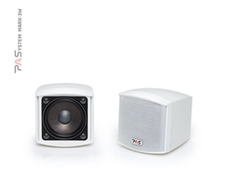 Настенный трансляционный громкоговоритель PASystem MARK-3W