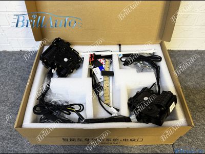 Доводчики Toyota Land Cruiser 300