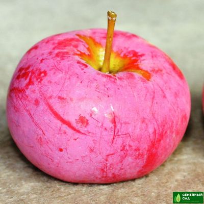 Яблоня "ВЭМ-розовый"
