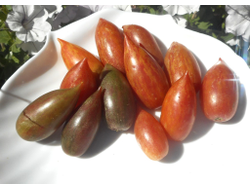 Томат Конфета сладкая сосулька (Candy Sweet Icicle)