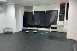 Аренда зала для хэндлинга