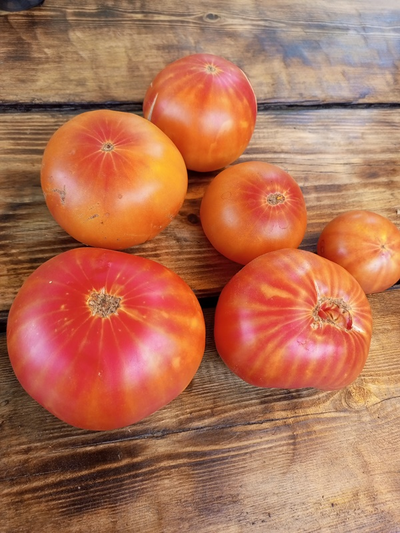 Томат Олимпийский огонь