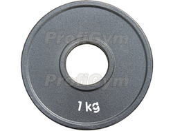 ДПЛ-1 ДИСК СТАЛЬНОЙ «POWERLIFTING» С ПОЛИМЕРНЫМ ПОКРЫТИЕМ, 1 КГ