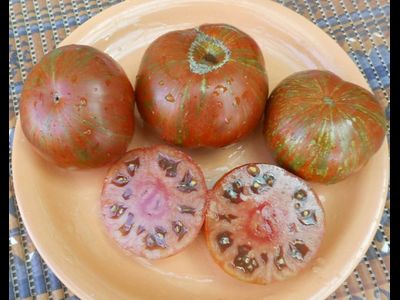 Томат Ирландский полосатый  (Irish Stripes)