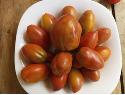 Гном Альмандин (Dwarf Almandine)