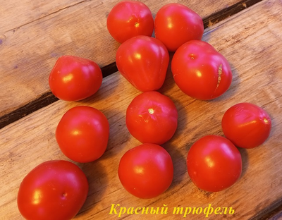 Томат Трюфель красный