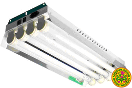 Люминесцентные лампы в теплицу