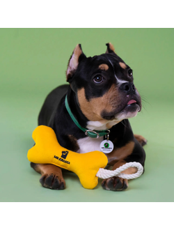 Игрушка Mr.Kranch для собак мелких и средних пород, Косточка желтая