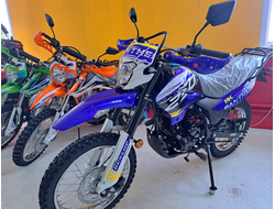 Racer PANTHER RC250GY-C2 (2024)