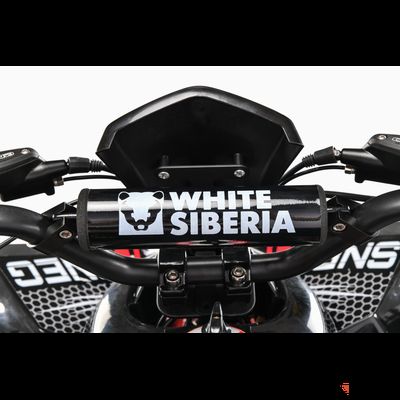 Электроквадроцикл  WHITE SIBERIA SNEG R 1500W