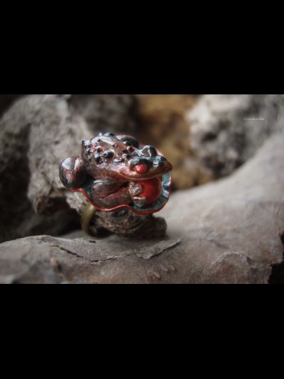 Фэнтезийное кольцо с опалом "Принц-лягушка Восточного Королевства"