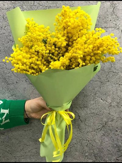 Охапка мимозы S