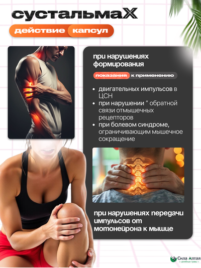 Сустальмакс: нейронные связи и здоровье вен