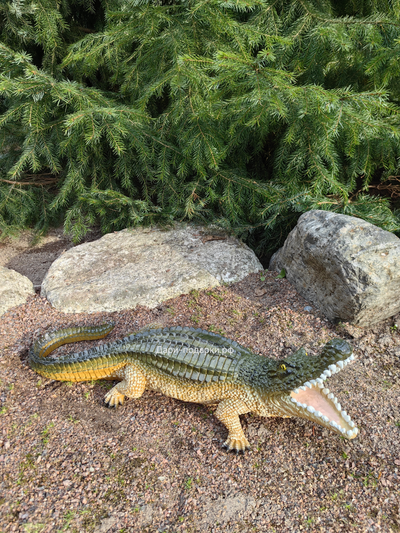 Крокодил 15*40см   1,2кг   полистоун Россия 1844/012457*