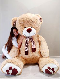 Мишка Барни 240см