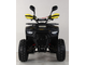 Квадроцикл бензиновый MOTAX GRIZLIK PREMIUM 125