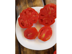 Томат Сердце Альбенги (Albenga), Италия