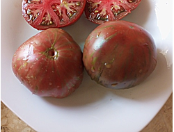 Томат Гном Тенесси Сюит (Dwarf Tennessee Suited)