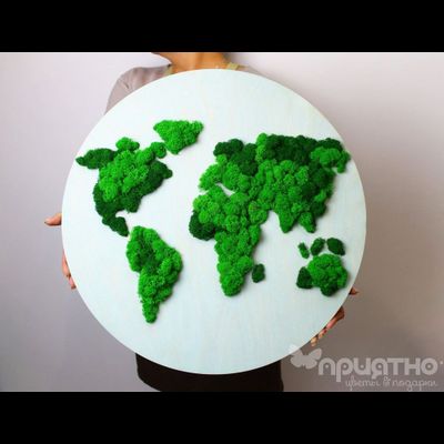 ЖИВАЯ ЭКО-КАРТИНА 1041