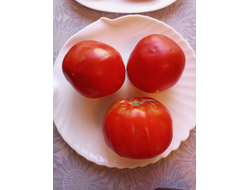 Томат Божий дар