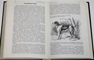 Сабанеев Л.П. Собаки охотничьи... Борзые и гончие. М.: Физкультура и спорт. 1987г.