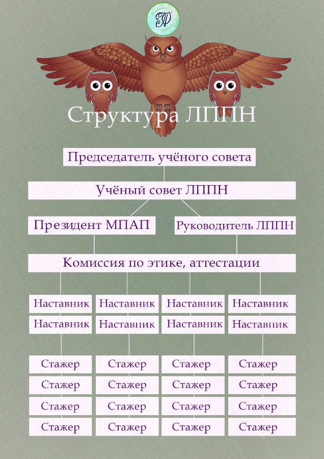 структура ЛППН