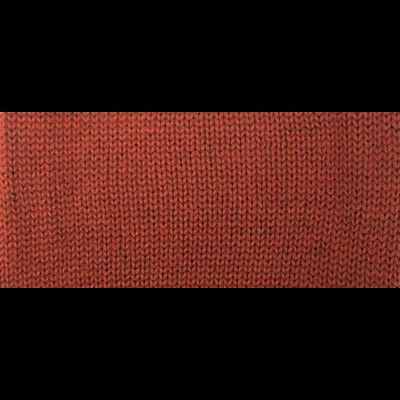 Tollegno 1900  HARMONY TOPWASH  100%  меринос 2/30 1500 м в 100 гр. цв. 20864 VERMIGLIO/VOLP