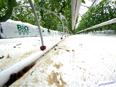 Трубка ПВХ 3х5 (100м) белая