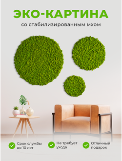 МИКС ИЗ ЭКО-КАРТИН 1016