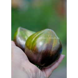 Томат Изумрудная Карамель Елены, 10 шт