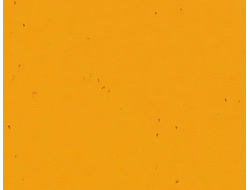 50210 Mandarin Sphera Energetic коллекция яркого гомогенного линолеума Forbo купить с доставкой