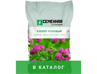 Семена многолетних трав - купить семена многолетних трав по выгодным ...