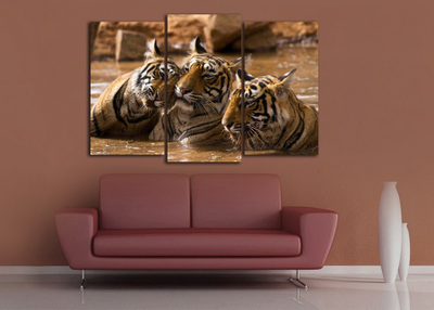 Модульная картина "Тигры в воде"