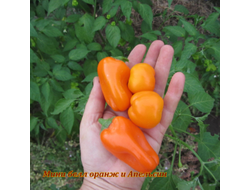 перец сладкий Апельсин