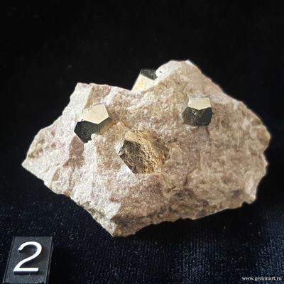 Кристаллы Пирита — пентагондодекаэдр на породе. Болгария. №2