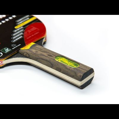 Теннисная ракетка Dragon Topenergy 5 Star New (прямая)