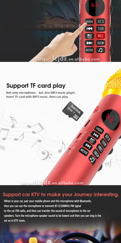 Профессиональный караоке-микрофон L-699 DSP  20w