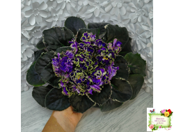 РС-Дремучий Лес (С. Репкина) 2019 г.