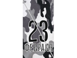 Наклейка С 23 Февраля №3 6,5х12см